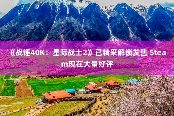 《战锤40K：星际战士2》已精采解锁发售 Steam现在大量好评