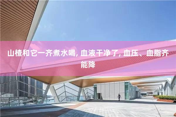 山楂和它一齐煮水喝, 血液干净了, 血压、血脂齐能降