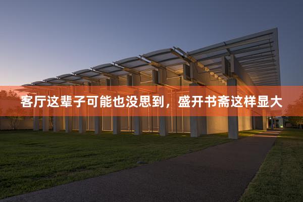 客厅这辈子可能也没思到,盛开书斋这样显大
