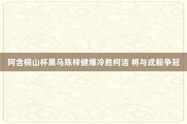 阿含桐山杯黑马陈梓健爆冷胜柯洁 将与戎毅争冠