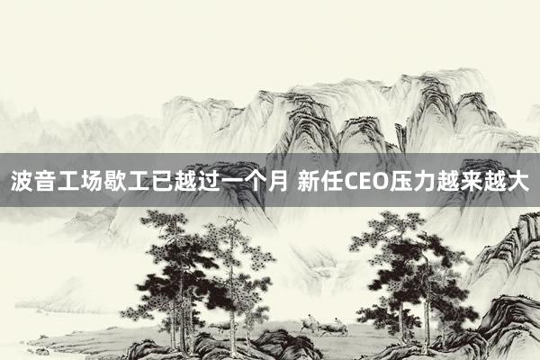 波音工场歇工已越过一个月 新任CEO压力越来越大