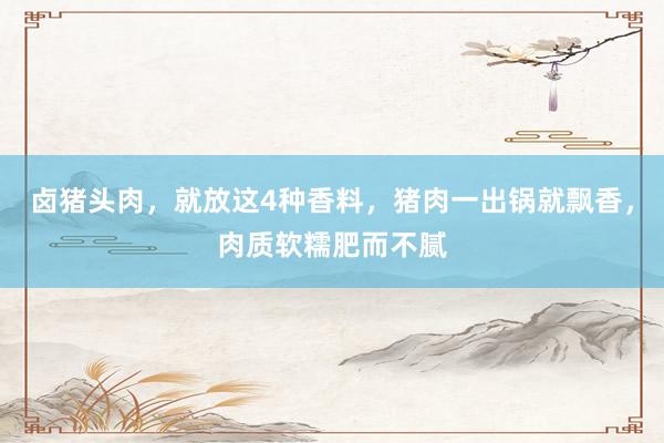 卤猪头肉，就放这4种香料，猪肉一出锅就飘香，肉质软糯肥而不腻