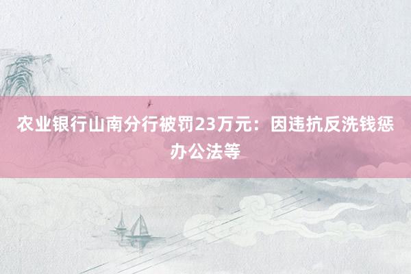农业银行山南分行被罚23万元：因违抗反洗钱惩办公法等