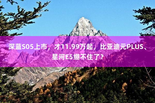 深蓝S05上市，才11.99万起，比亚迪元PLUS、星河E5绷不住了？