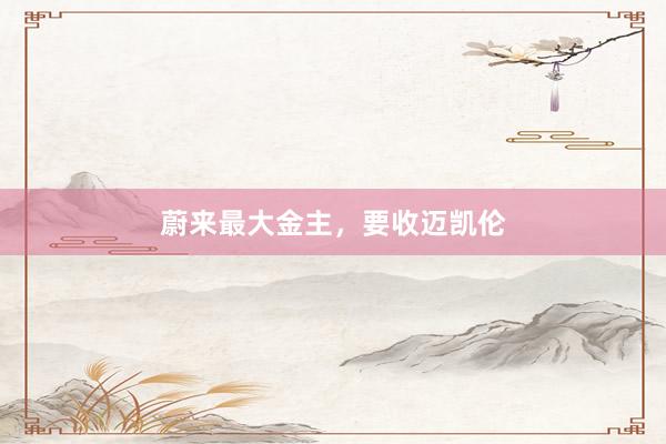蔚来最大金主，要收迈凯伦
