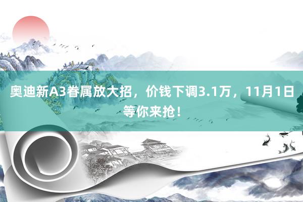 奥迪新A3眷属放大招，价钱下调3.1万，11月1日等你来抢！