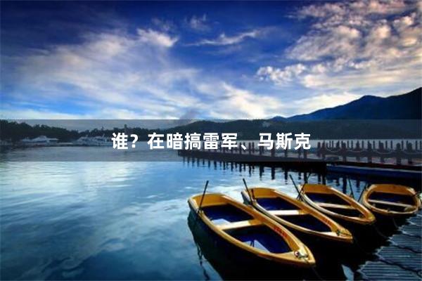 谁？在暗搞雷军、马斯克