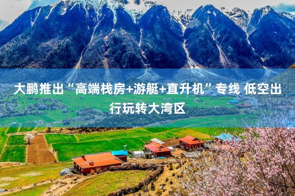 大鹏推出“高端栈房+游艇+直升机”专线 低空出行玩转大湾区