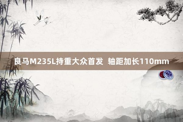 良马M235L持重大众首发  轴距加长110mm