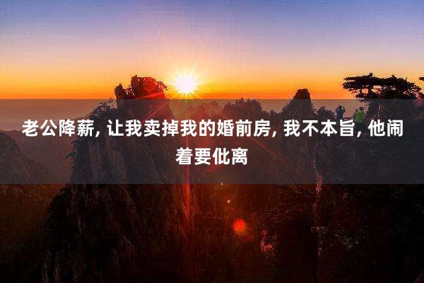 老公降薪, 让我卖掉我的婚前房, 我不本旨, 他闹着要仳离