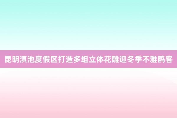 昆明滇池度假区打造多组立体花雕迎冬季不雅鸥客