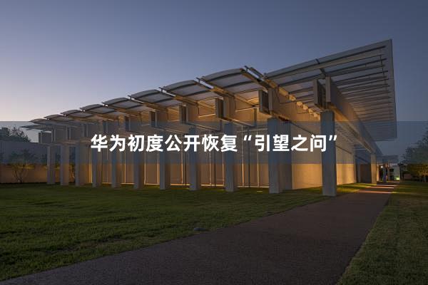 华为初度公开恢复“引望之问”