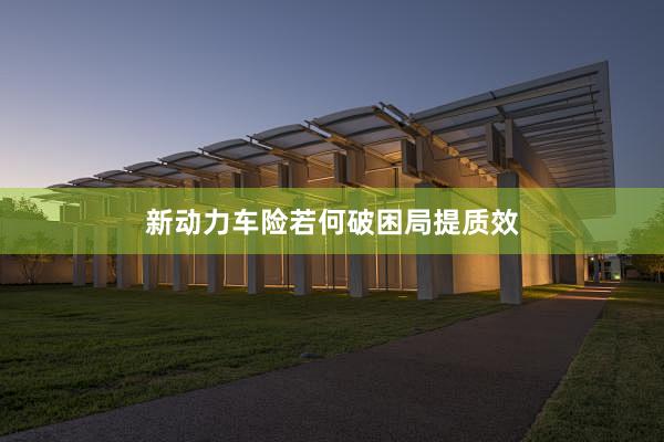 新动力车险若何破困局提质效
