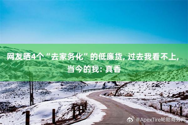 网友晒4个“去家务化”的低廉货, 过去我看不上, 当今的我: 真香