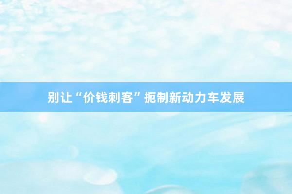 别让“价钱刺客”扼制新动力车发展